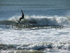 hotwaxsurfcamp > Islander November 9th, 2006 photo